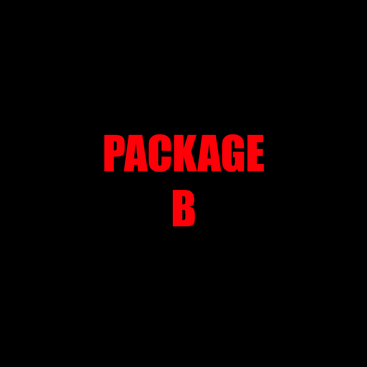 Package B – 10-Hour Professional Studio Package