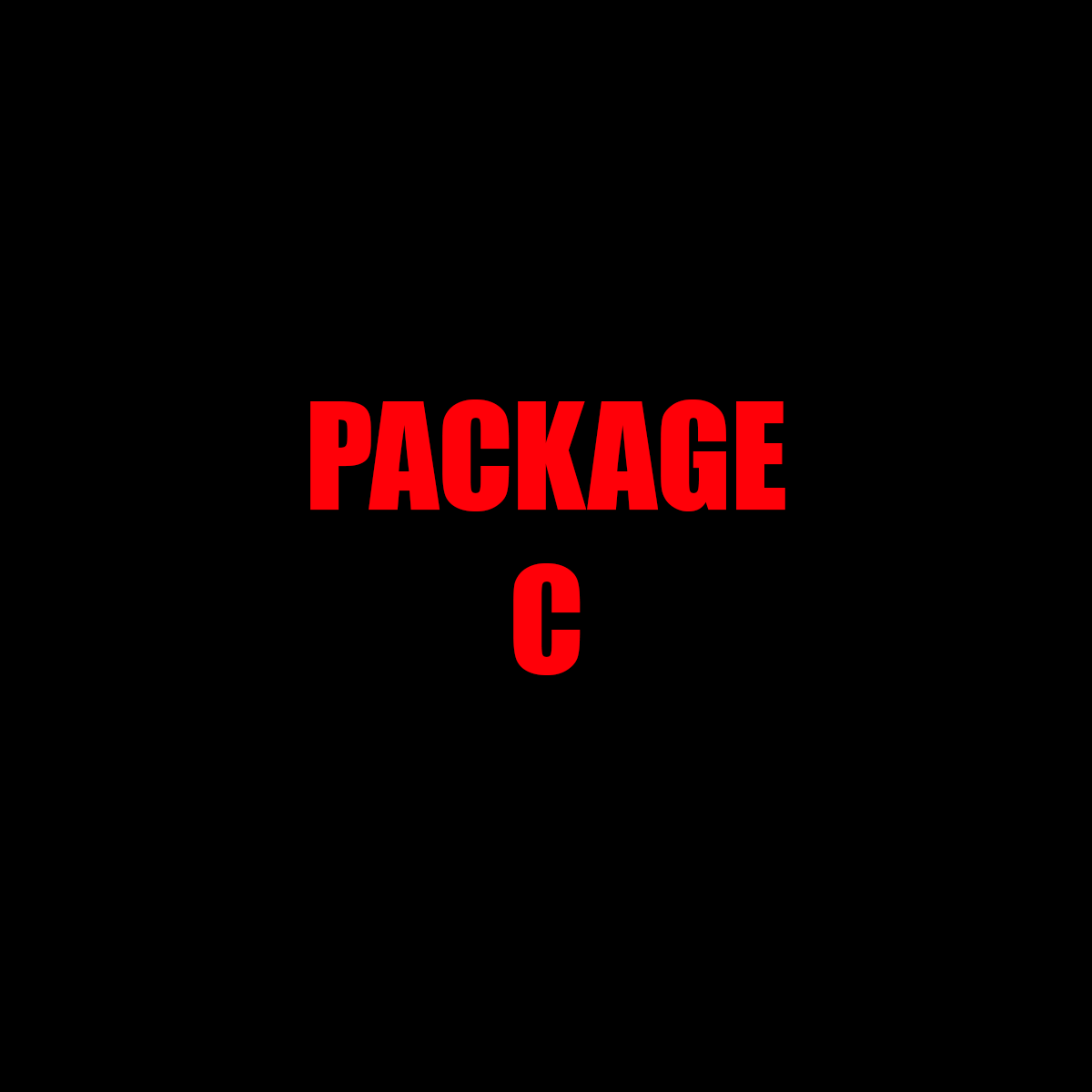 Package C – Full-Service Studio Experience